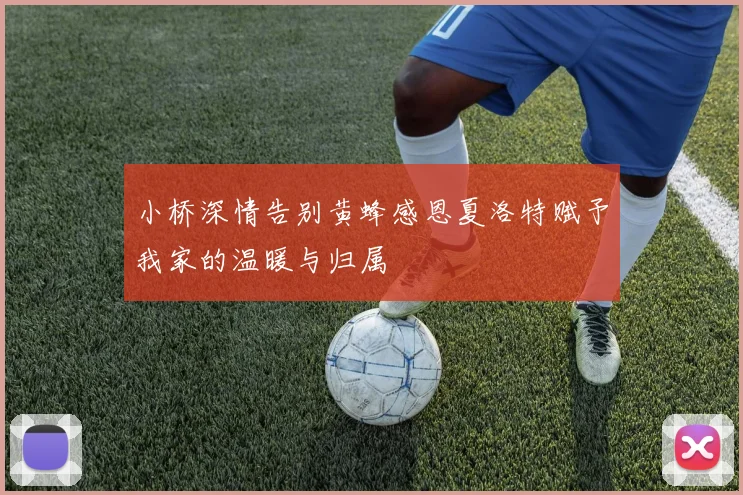 小桥深情告别黄蜂感恩夏洛特赋予我家的温暖与归属
